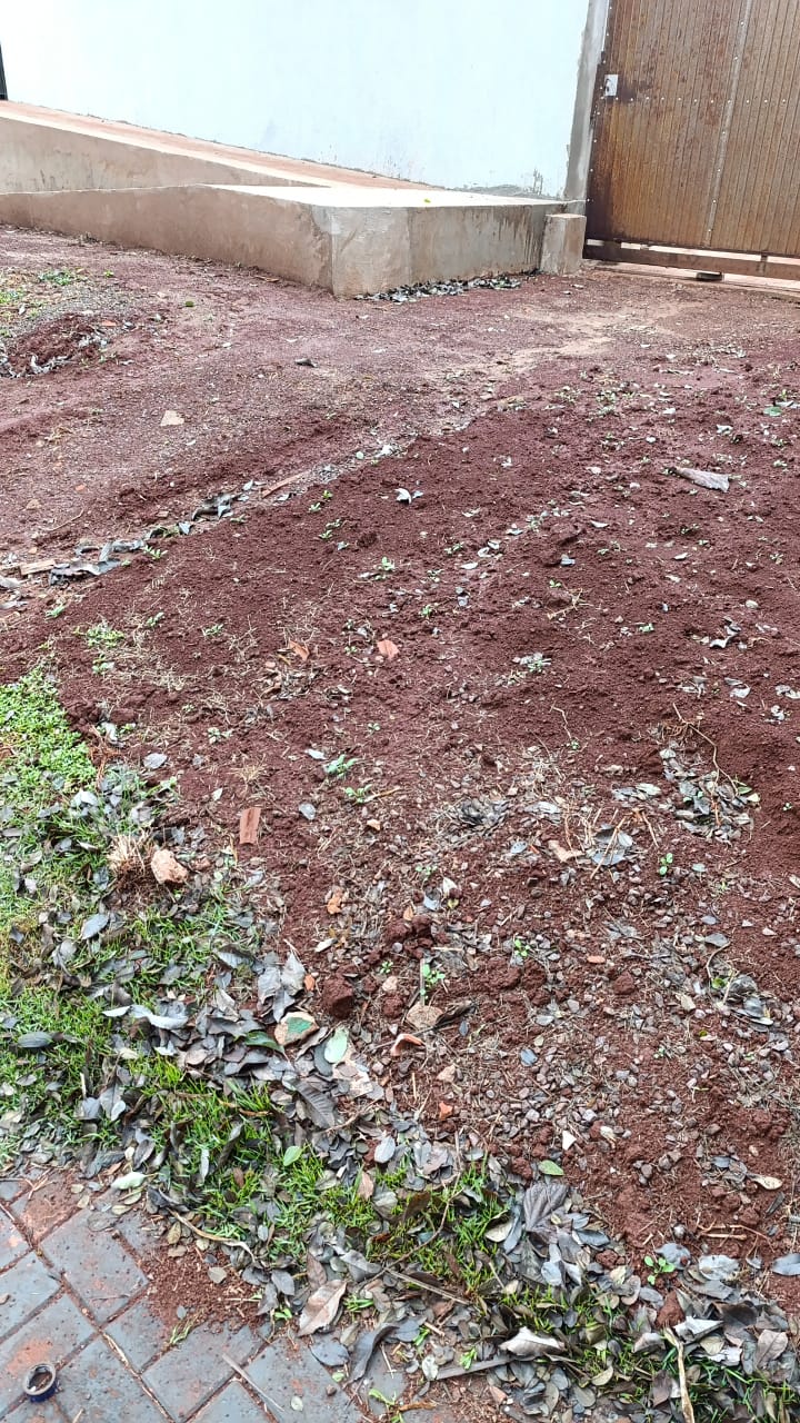 IMG-20250709-WA0039